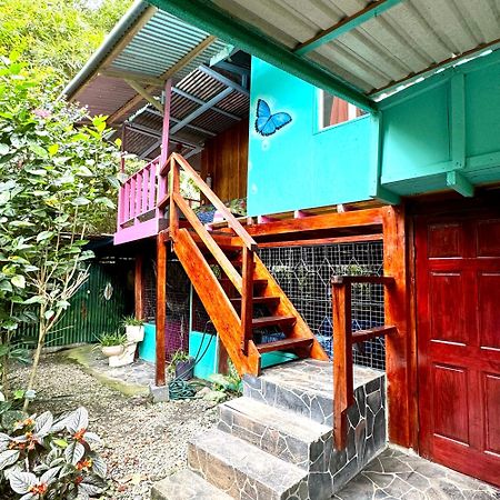 Hidden Jungle Beach House Puerto Viejo de Talamanca 外观 照片