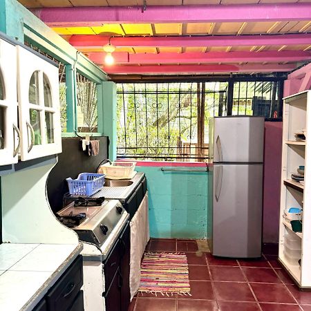 Hidden Jungle Beach House Puerto Viejo de Talamanca 外观 照片