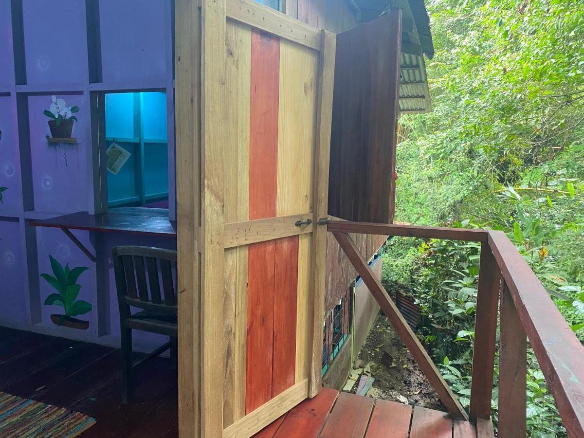 Hidden Jungle Beach House Puerto Viejo de Talamanca 外观 照片