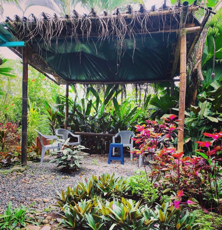 Hidden Jungle Beach House Puerto Viejo de Talamanca 外观 照片