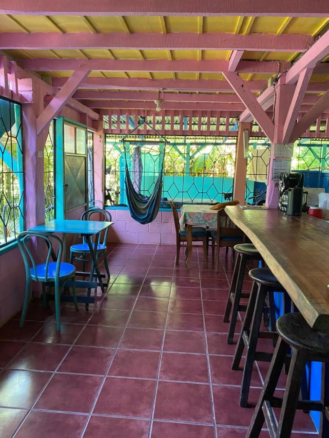 Hidden Jungle Beach House Puerto Viejo de Talamanca 外观 照片