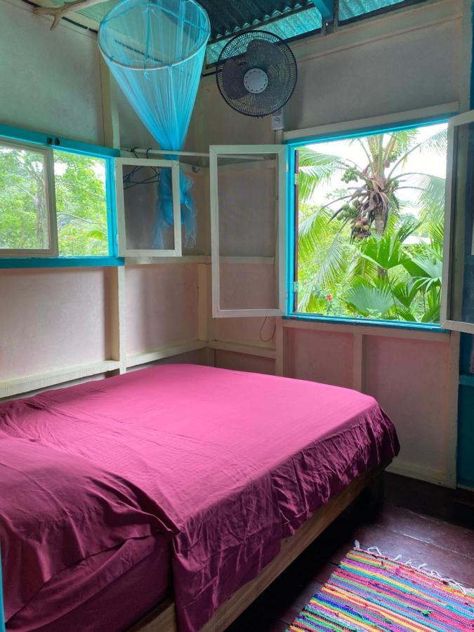 Hidden Jungle Beach House Puerto Viejo de Talamanca 外观 照片