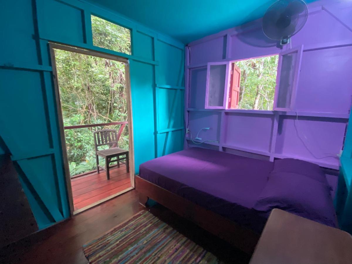 Hidden Jungle Beach House Puerto Viejo de Talamanca 外观 照片