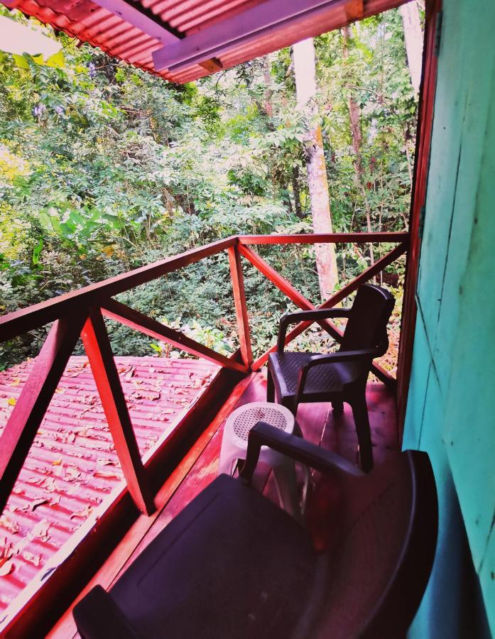 Hidden Jungle Beach House Puerto Viejo de Talamanca 外观 照片