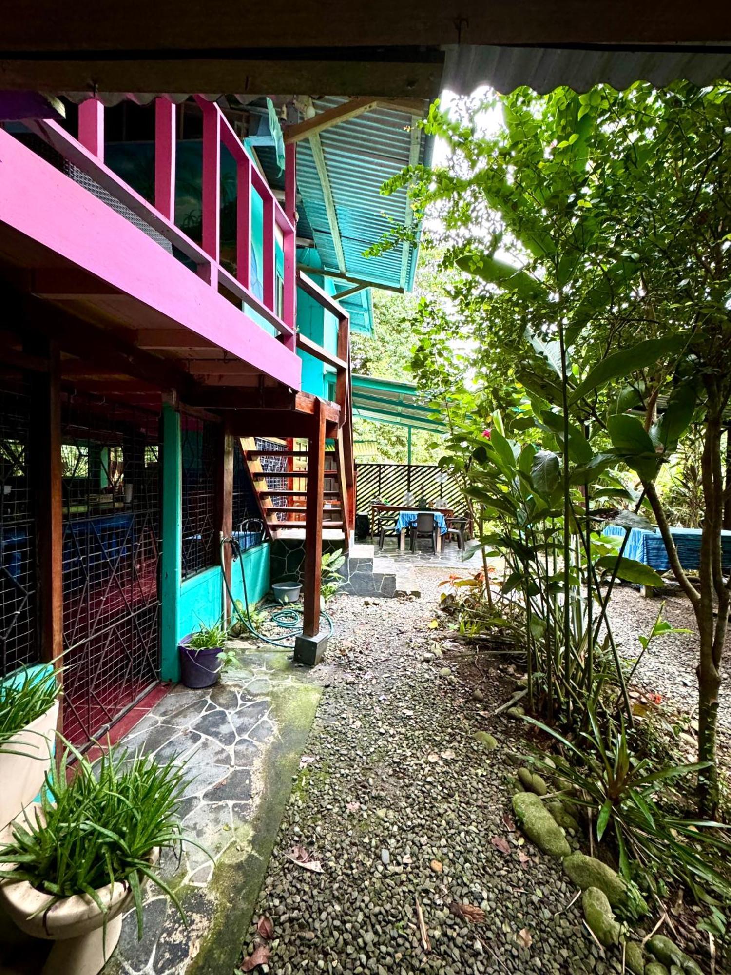 Hidden Jungle Beach House Puerto Viejo de Talamanca 外观 照片