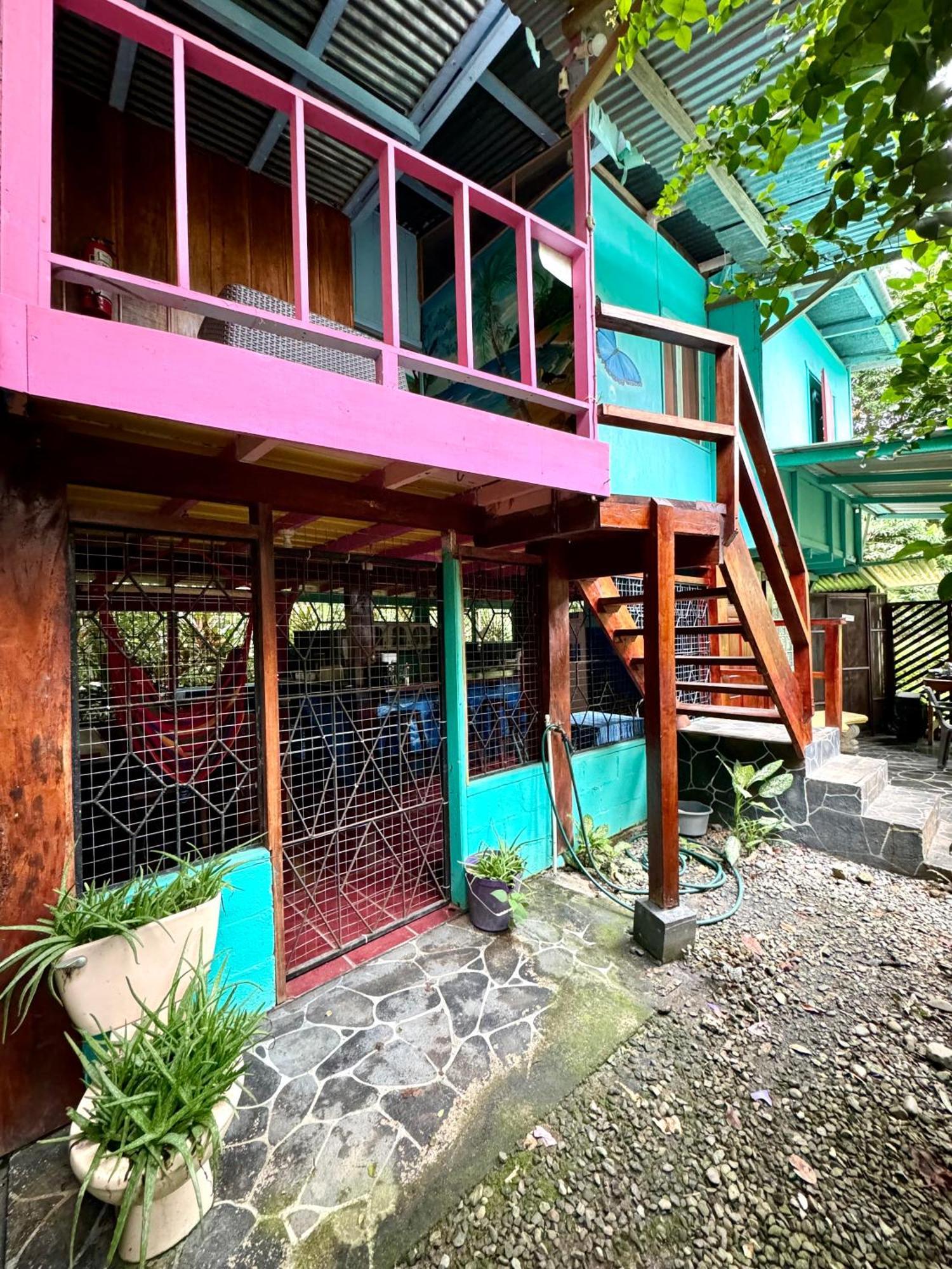 Hidden Jungle Beach House Puerto Viejo de Talamanca 外观 照片