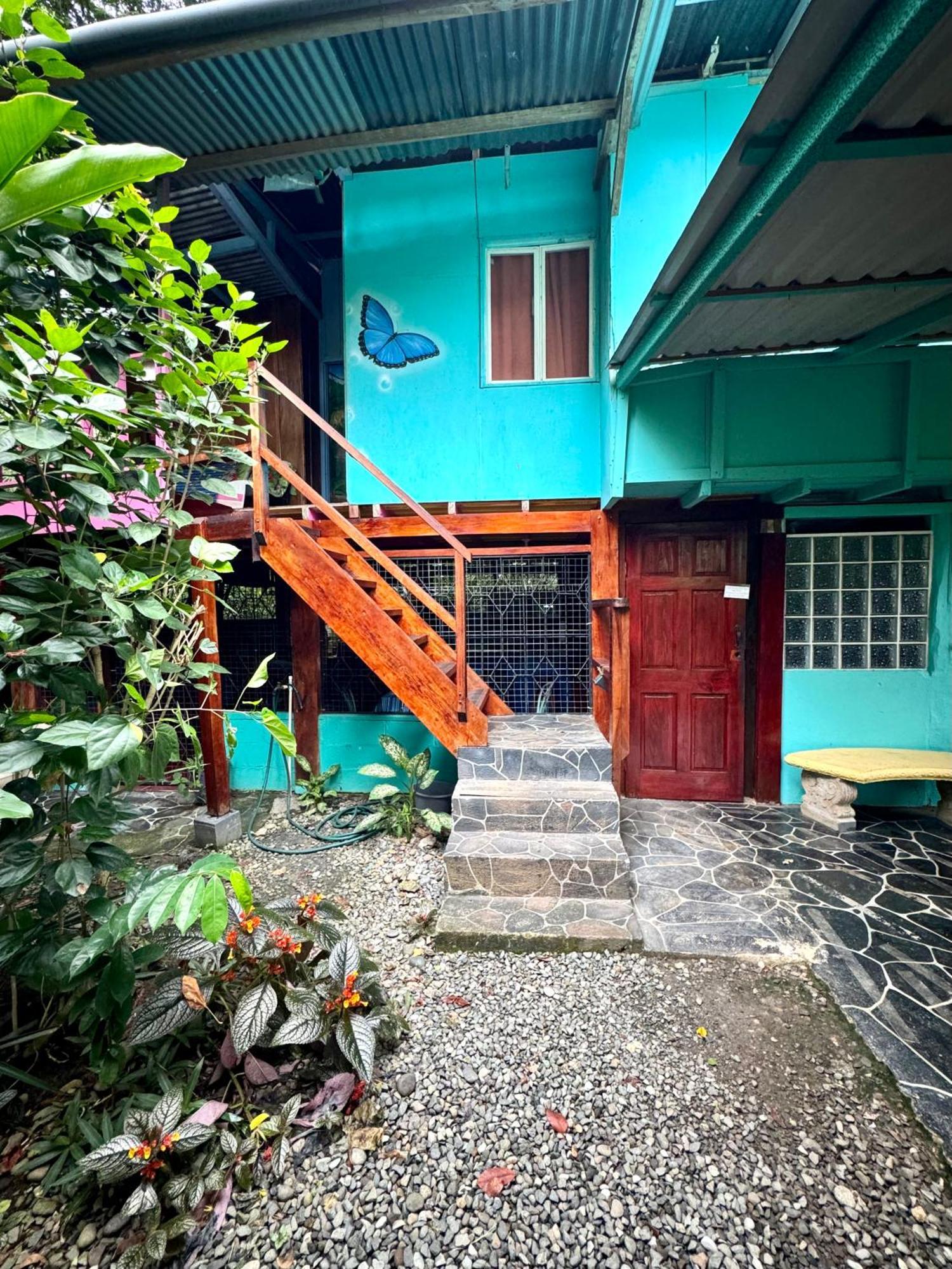 Hidden Jungle Beach House Puerto Viejo de Talamanca 外观 照片