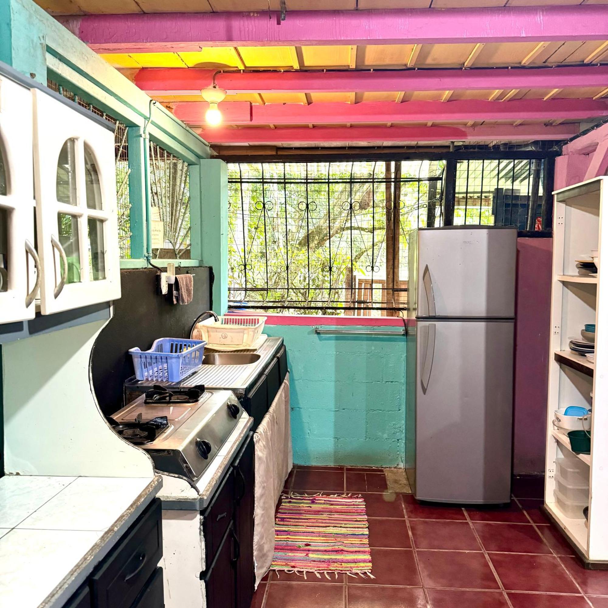 Hidden Jungle Beach House Puerto Viejo de Talamanca 外观 照片