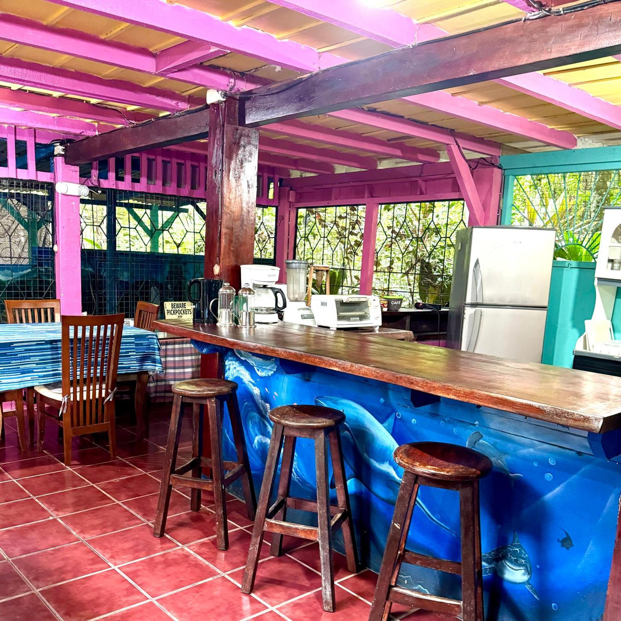 Hidden Jungle Beach House Puerto Viejo de Talamanca 外观 照片