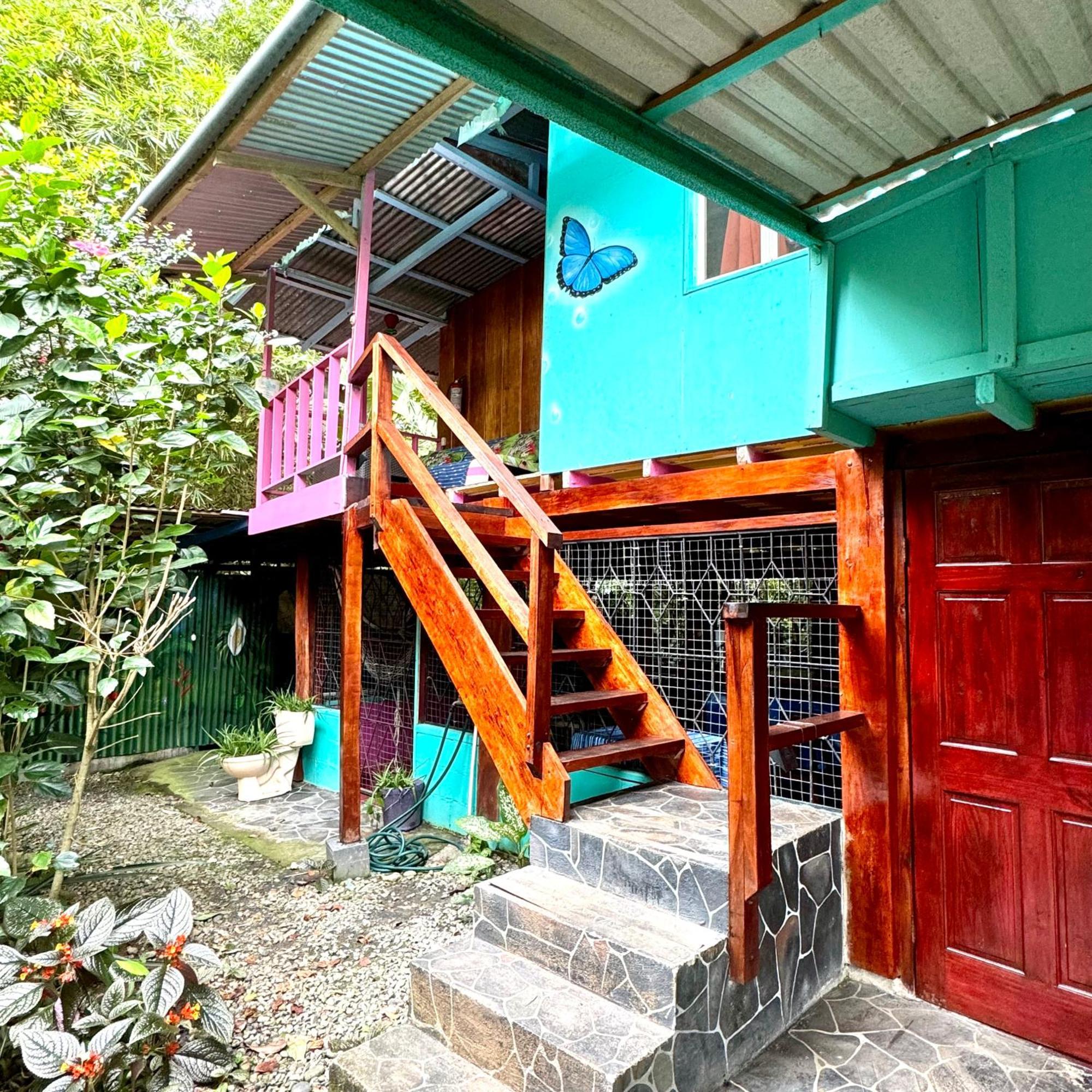 Hidden Jungle Beach House Puerto Viejo de Talamanca 外观 照片
