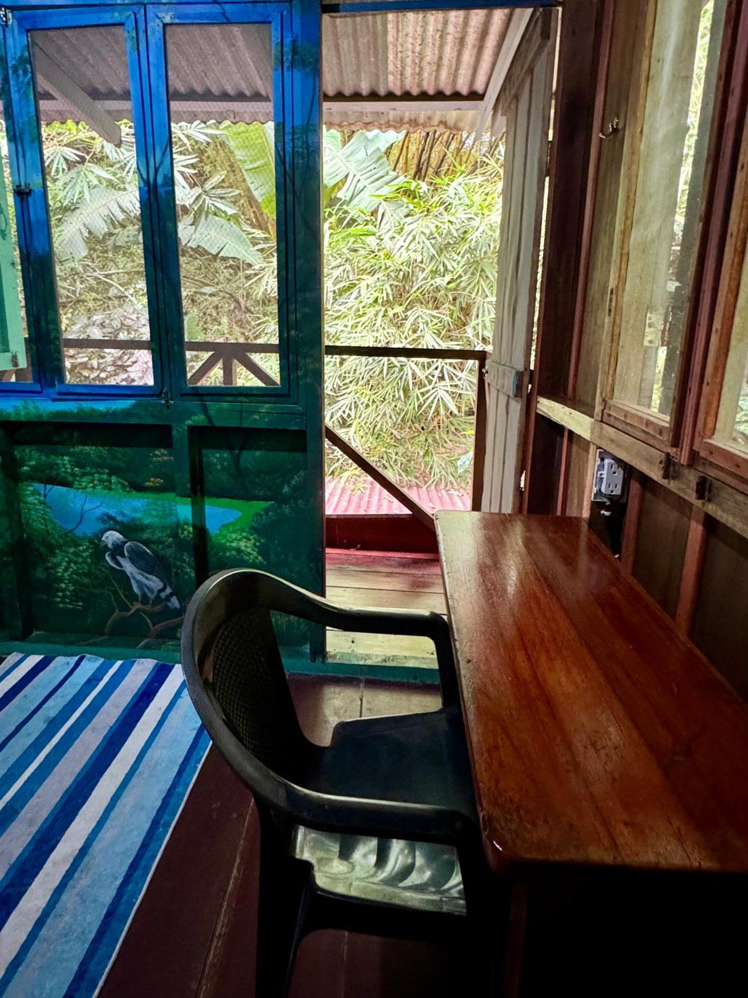 Hidden Jungle Beach House Puerto Viejo de Talamanca 外观 照片