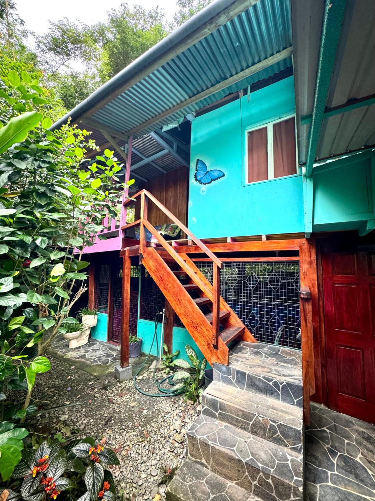 Hidden Jungle Beach House Puerto Viejo de Talamanca 外观 照片